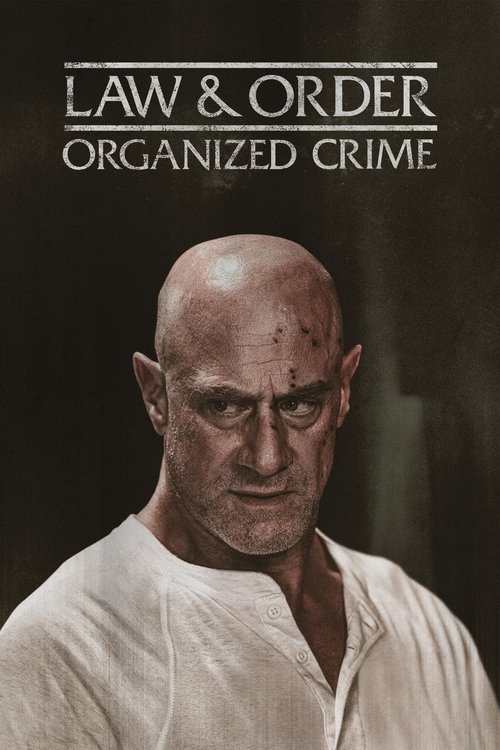 Law & Order Organized Crime : 5.Sezon 3.Bölüm