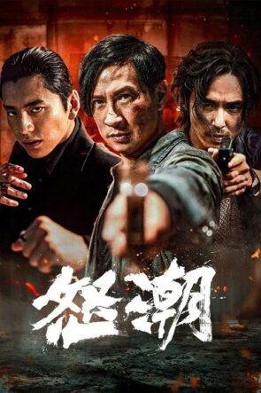 怒潮 (2023)